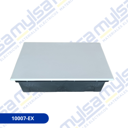 10007-EX